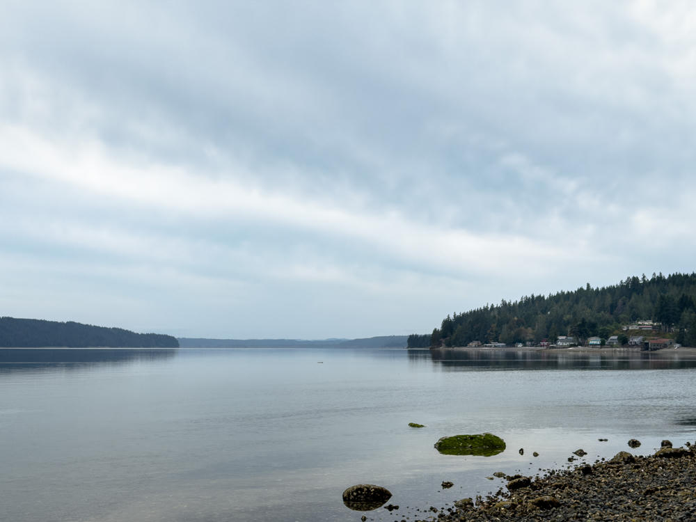 A calm, gray inlet under an overcast sky, with a rocky, seaweed-covered shoreline in the foreground. Forested hills line the far shore, and a small waterfront community of houses is visible among the trees on the right.