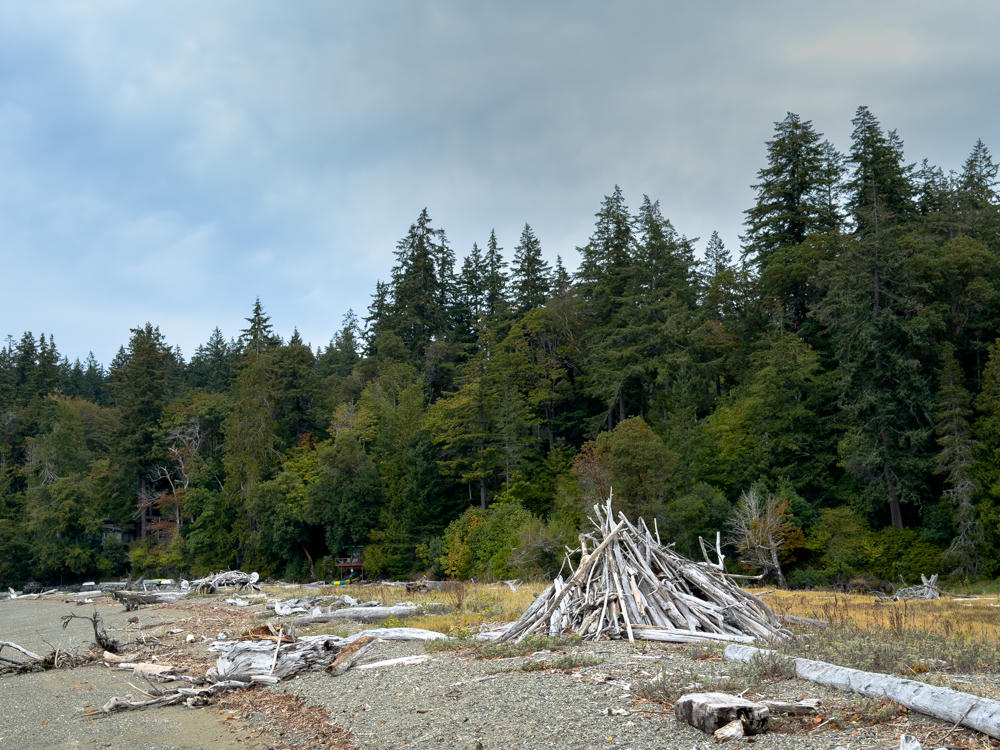 A gravel beach strewn with weathered driftwood logs, with a large teepee-shaped stack of bleached driftwood in the foreground and a dense wall of evergreen conifers behind under an overcast gray sky.