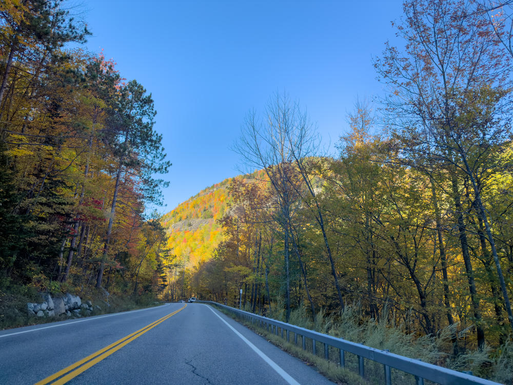 A two-lane road with a double yellow center line and a metal guardrail curves gently ahead through a forest in peak autumn color, with trees in orange, yellow, red, and green lining both sides. Beyond the trees a rocky hillside dotted with fall foliage rises against a clear blue sky.