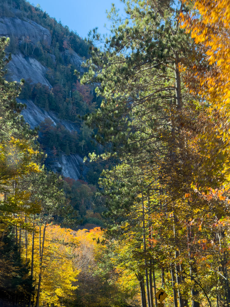 A steep granite cliff face rises against a clear blue sky, flanked by tall pines and hardwood trees showing autumn colors of yellow, orange, and red. In the foreground along a roadside stands a yellow curve-warning sign with a 50 mph speed plate.