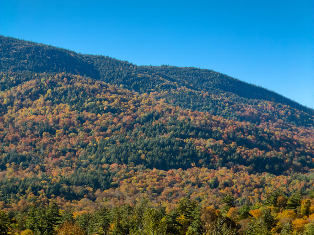 A forested mountainside under a clear blue sky, its slopes covered in a patchwork of autumn foliage ranging from deep green evergreens to orange, red, and gold deciduous trees, with a mix of fall-colored trees in the foreground.