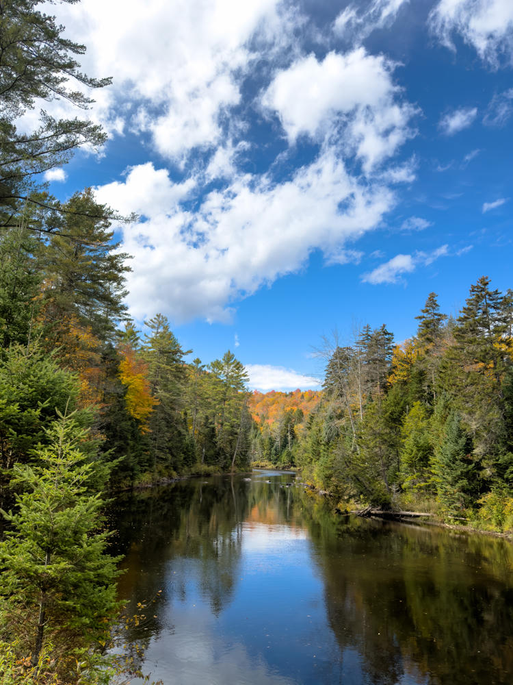 A calm river winds through a dense evergreen and hardwood forest, with pockets of orange and yellow autumn foliage along the banks reflected in the dark water, under a bright blue sky scattered with puffy white clouds.