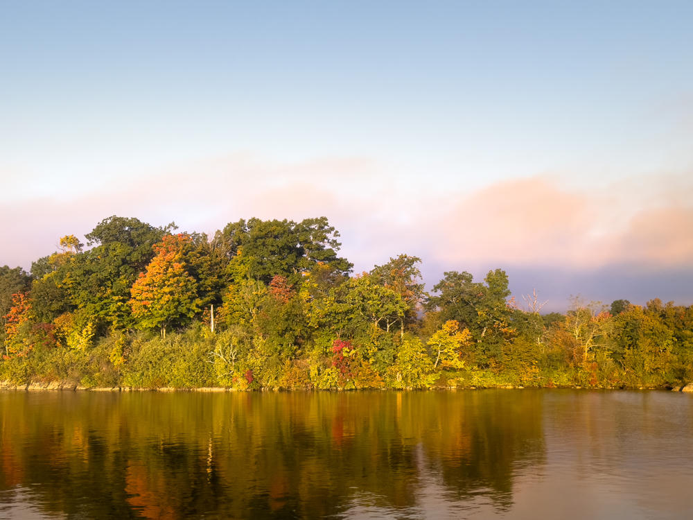 A tree-lined shoreline in early autumn glows with warm morning light, its green foliage accented by patches of orange and red, reflected in the calm water of a bay beneath a pale blue sky with soft peach-tinted clouds.