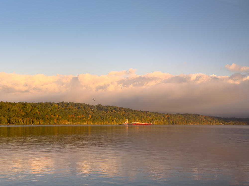 A broad river at dawn with a red tugboat pushing a barge along the far shore, backed by a forested ridge touched with early autumn color and a long bank of clouds glowing in warm morning light. A couple of birds soar over the water against a pale blue sky.