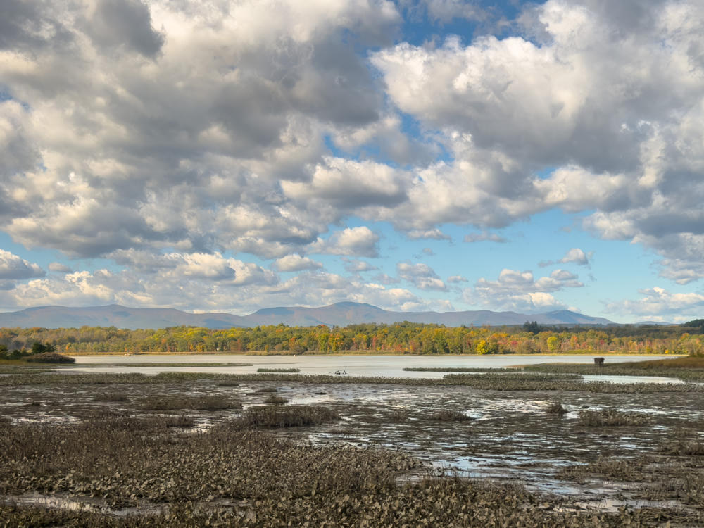 A broad tidal marsh and wetland stretches toward a shallow lake, with a tree line showing early autumn color and a hazy mountain ridge on the horizon beneath a sky filled with scattered puffy clouds.