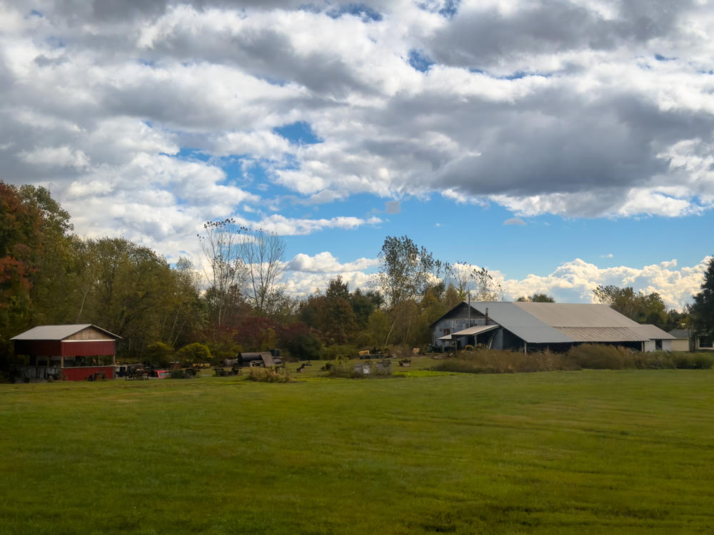 A rural farmstead seen across a broad green field under a dramatic sky of scattered white clouds. A small red open-sided barn sits on the left surrounded by old equipment, while a large gray barn with a metal roof stands to the right, backed by a line of trees showing early autumn color.
