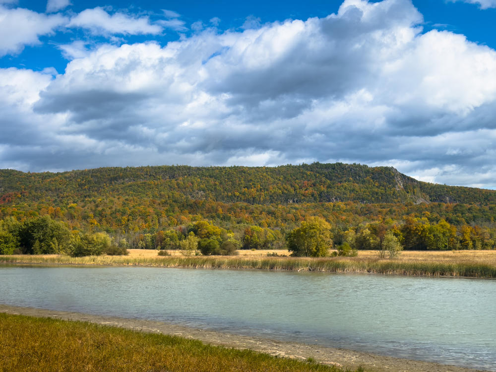 A calm river fringed with golden reeds and tawny marsh grass winds past a forested ridge showing early autumn color, with exposed rocky cliffs on the slope beneath a sky of large white and gray clouds.