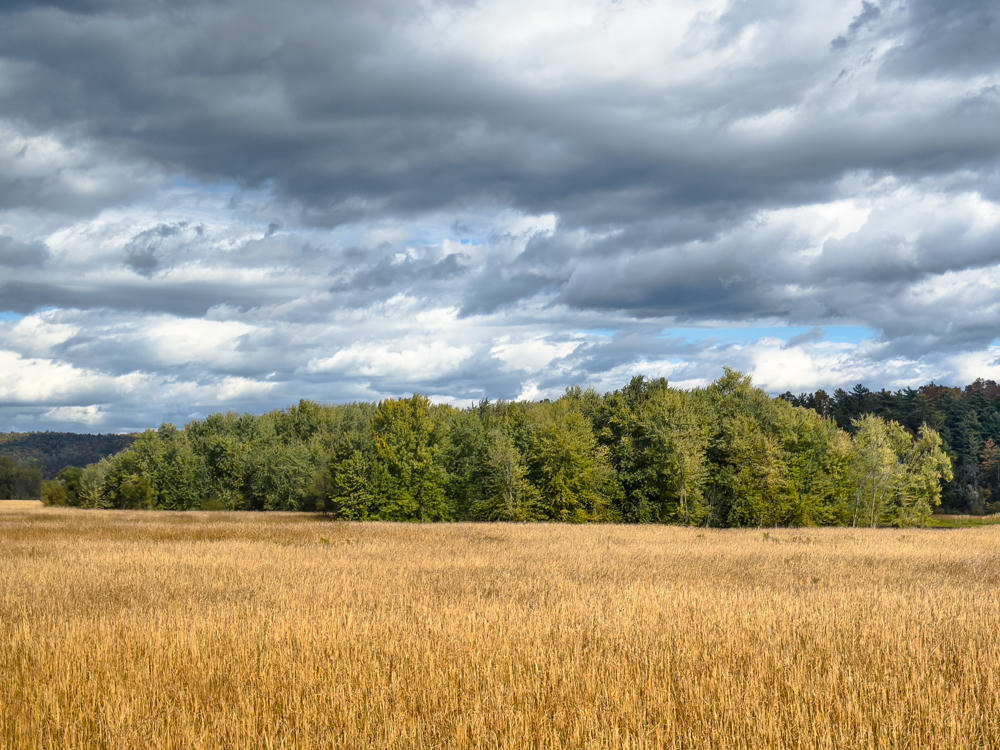 A broad expanse of golden dry grassland stretches to a line of trees on the horizon, with early autumn foliage mixing green and hints of color, under a dramatic sky filled with heavy gray and white clouds.