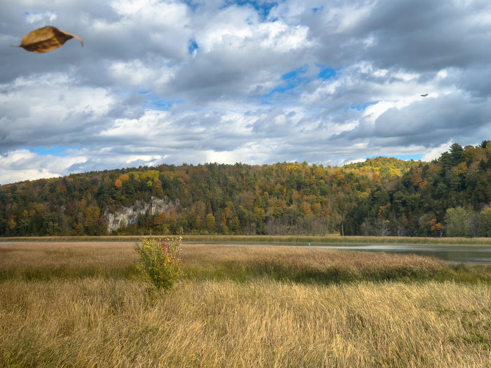 A golden-brown autumn marsh of tall dry grasses leads to a calm body of water backed by a forested ridge dotted with fall colors and pale rock outcrops, under a cloudy sky where a dried leaf drifts in the foreground.