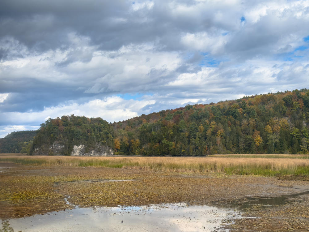 A marshy wetland with golden reeds and shallow pools of still water in the foreground, backed by a forested ridge showing early fall color and exposed pale rock cliffs, under a broad sky of layered gray and white clouds.